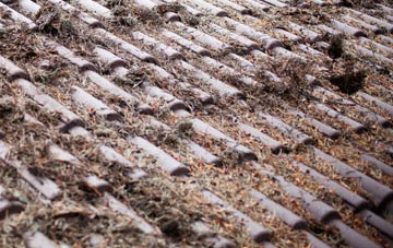 Scaleby roof cleaning companies