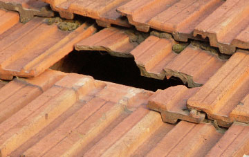 roof repair Scaleby, Cumbria